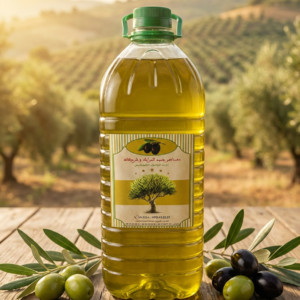 الرئيسية auto draft